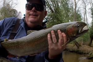 Salmon, trout and steelhead, fly fishing.