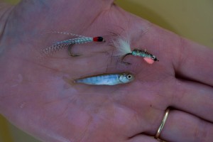 Alevin fly and fry fly, flies for steelhead and trout.