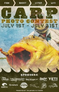 Carp photo contest.