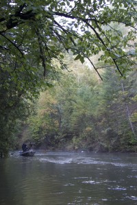 Fly fishing for salmon, trout and steelhead.