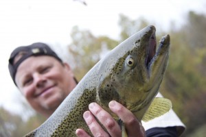 Fly fishing for salmon, trout and steelhead in Michigan.