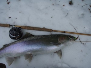 Michigan streamer fishing