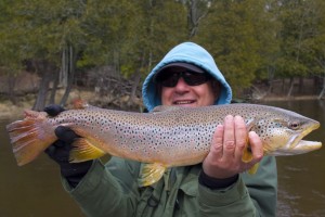 Big brown trout from the Pere Marquette River.