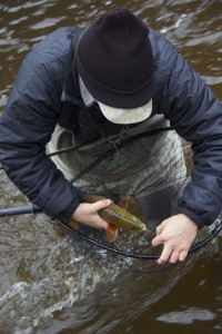 Fishing charters for salmon, trout and steelhead.