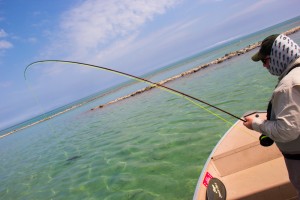 Fly fishing for carp on the flats of Lake Michigan.