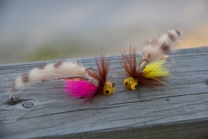 Fly patterns for carp.