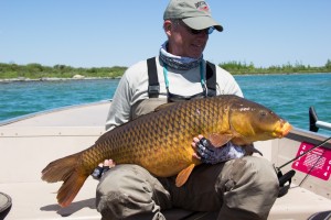 Fly fishing for carp and smallmouth bass in Michigan.