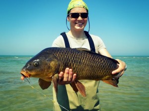 Fly fishing for carp and smallmouth bass.
