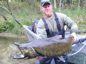 Fly fishing for salmon on the Pere Marquette River, Muskegon River and Manistee River.