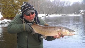 big-pere-marquette-brown-trout